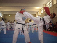 Ushiro Mawashi Keri